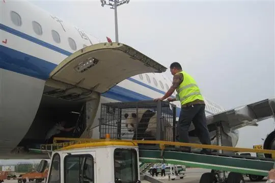 三明空运宁波机场